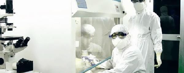 生物安全與生物技術開發 定義、挑戰與前景